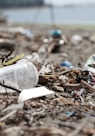  Plastic bottle on brown dried leaves