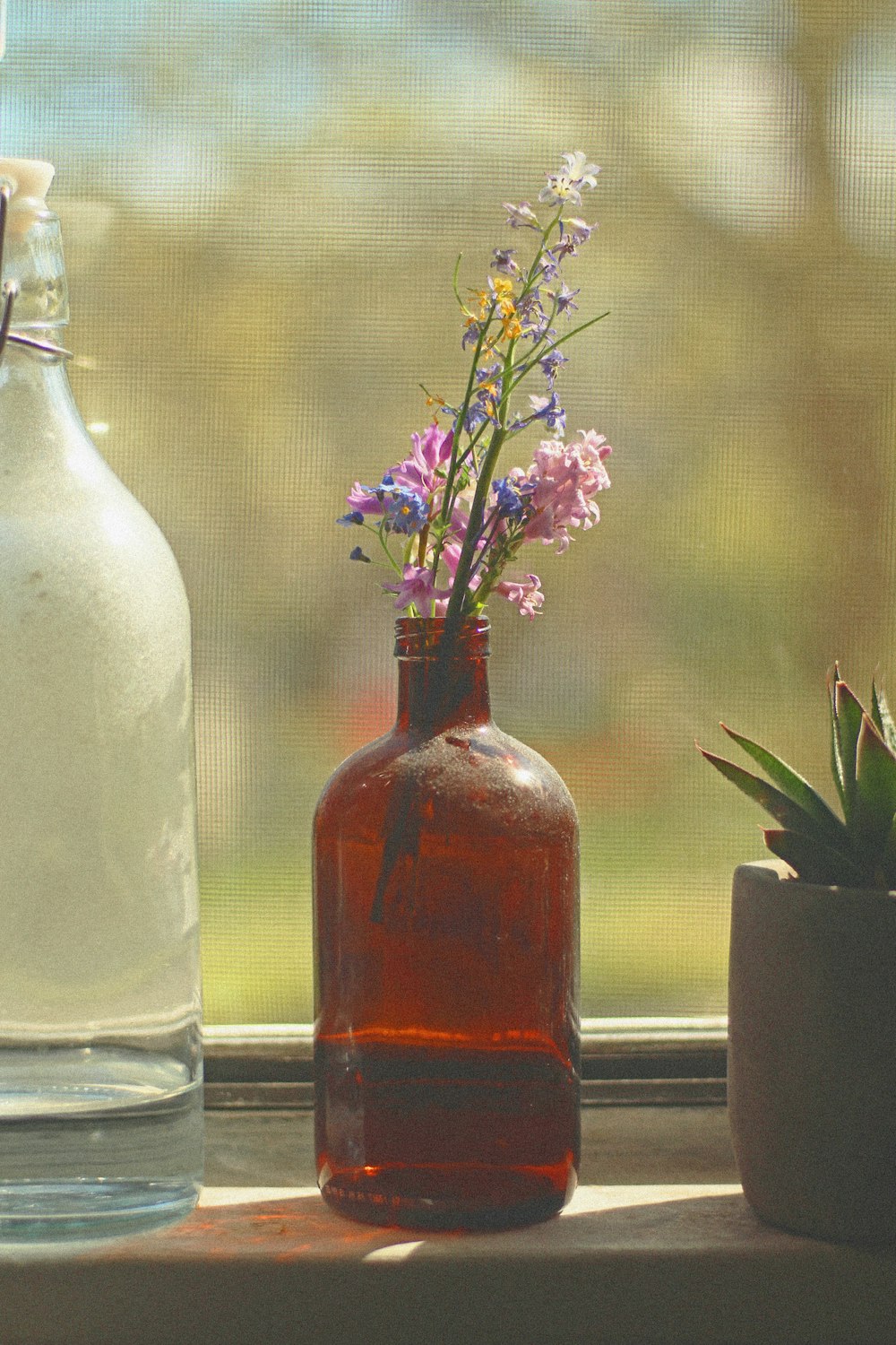 purple flowers in clear glass bottle