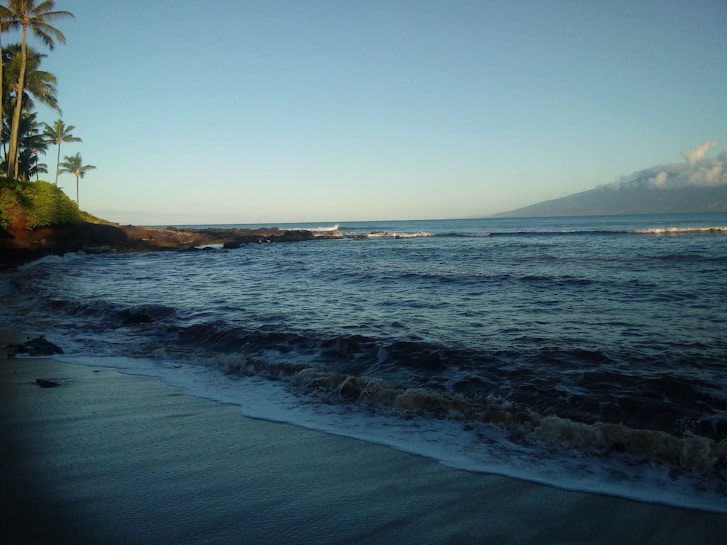 A serene beach scene with gentle waves washing onto the sandy shore. The beach is lined with tall palm trees on the left, and the sun casts a warm glow over the scene. The horizon shows a distant island with a few clouds hovering above.