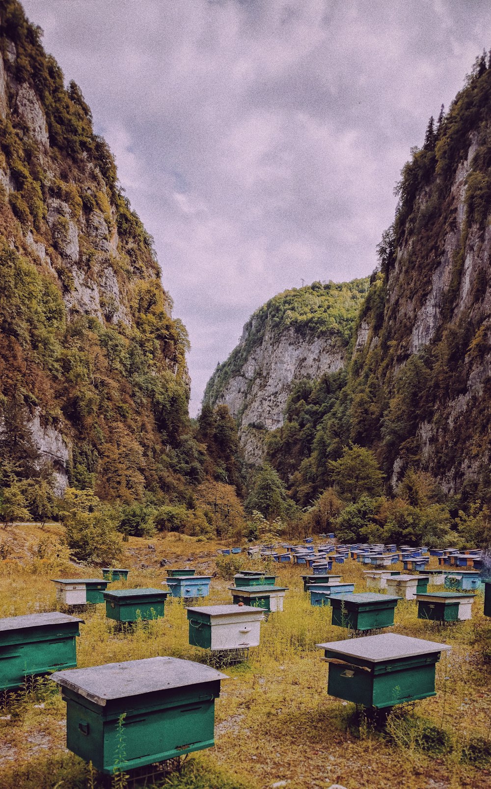 yellow and blue wooden chairs near brown and green mountain under white cloudy sky during daytime