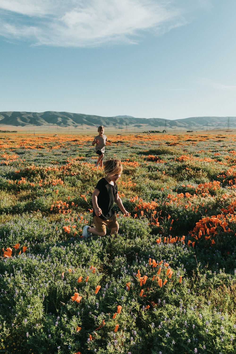 woman in black tank top and black shorts sitting on red flower field during daytime