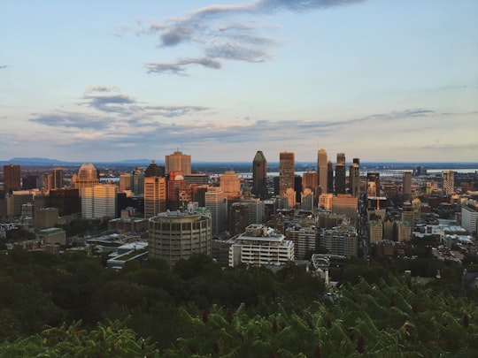 city skyline under blue sky during daytime in Montréal Canada