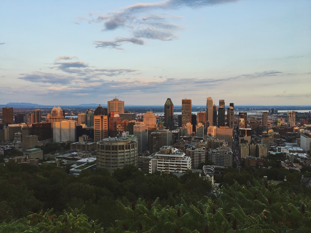 city skyline under blue sky during daytime