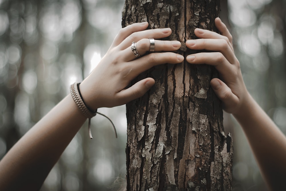person wearing silver ring holding brown tree trunk