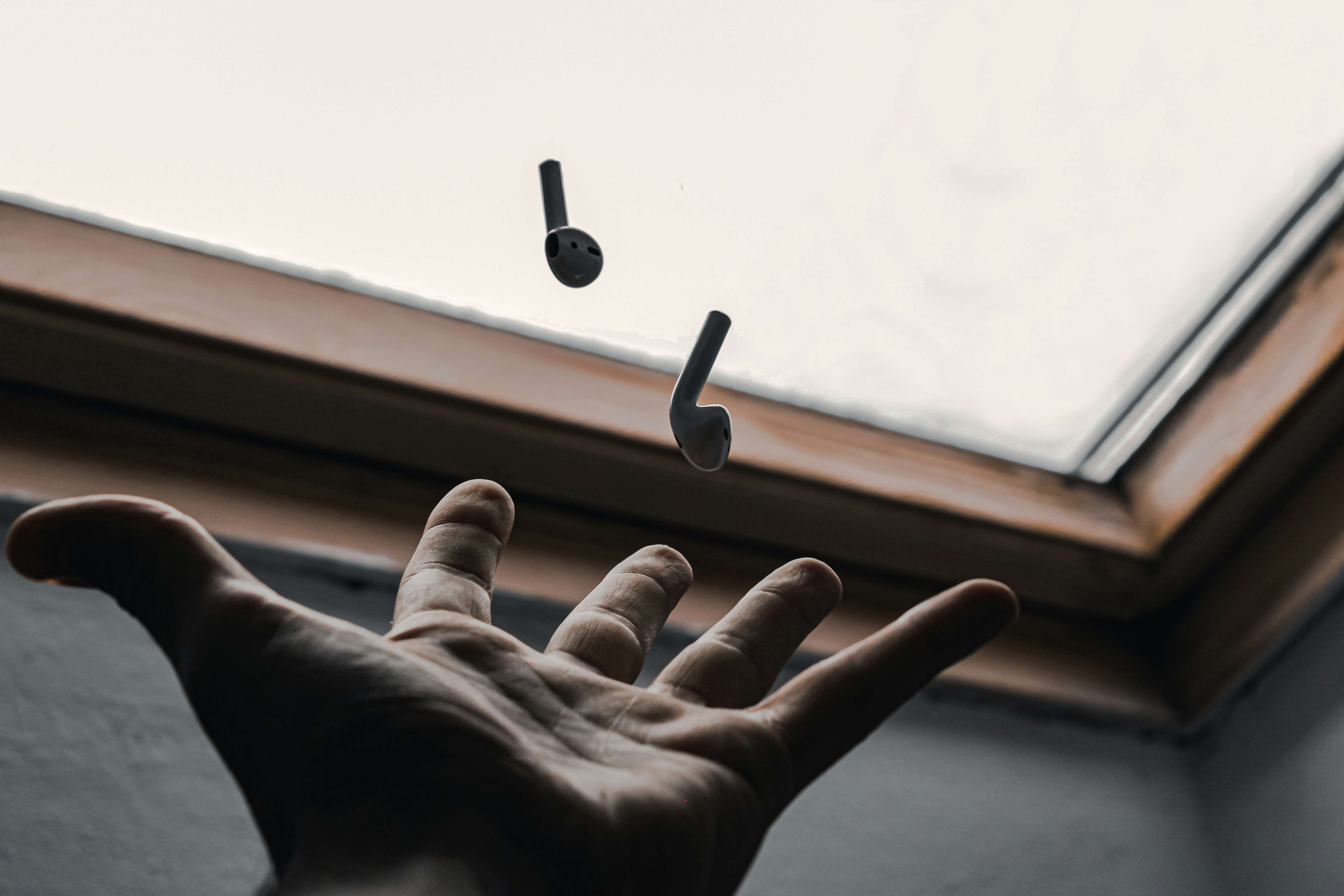 Photo by angelo_rechichi