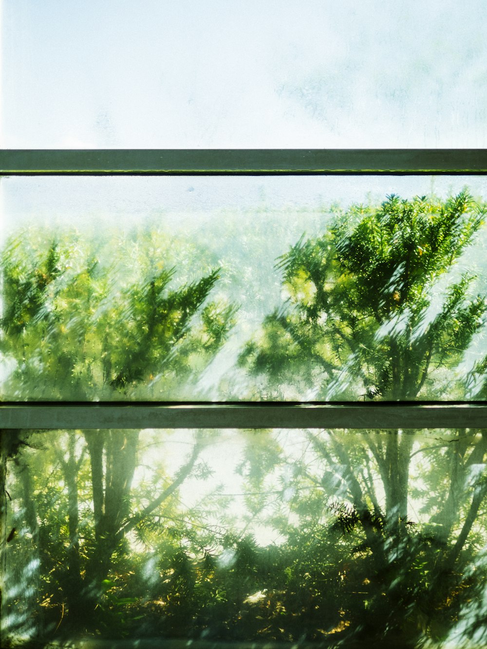 green trees in front of window