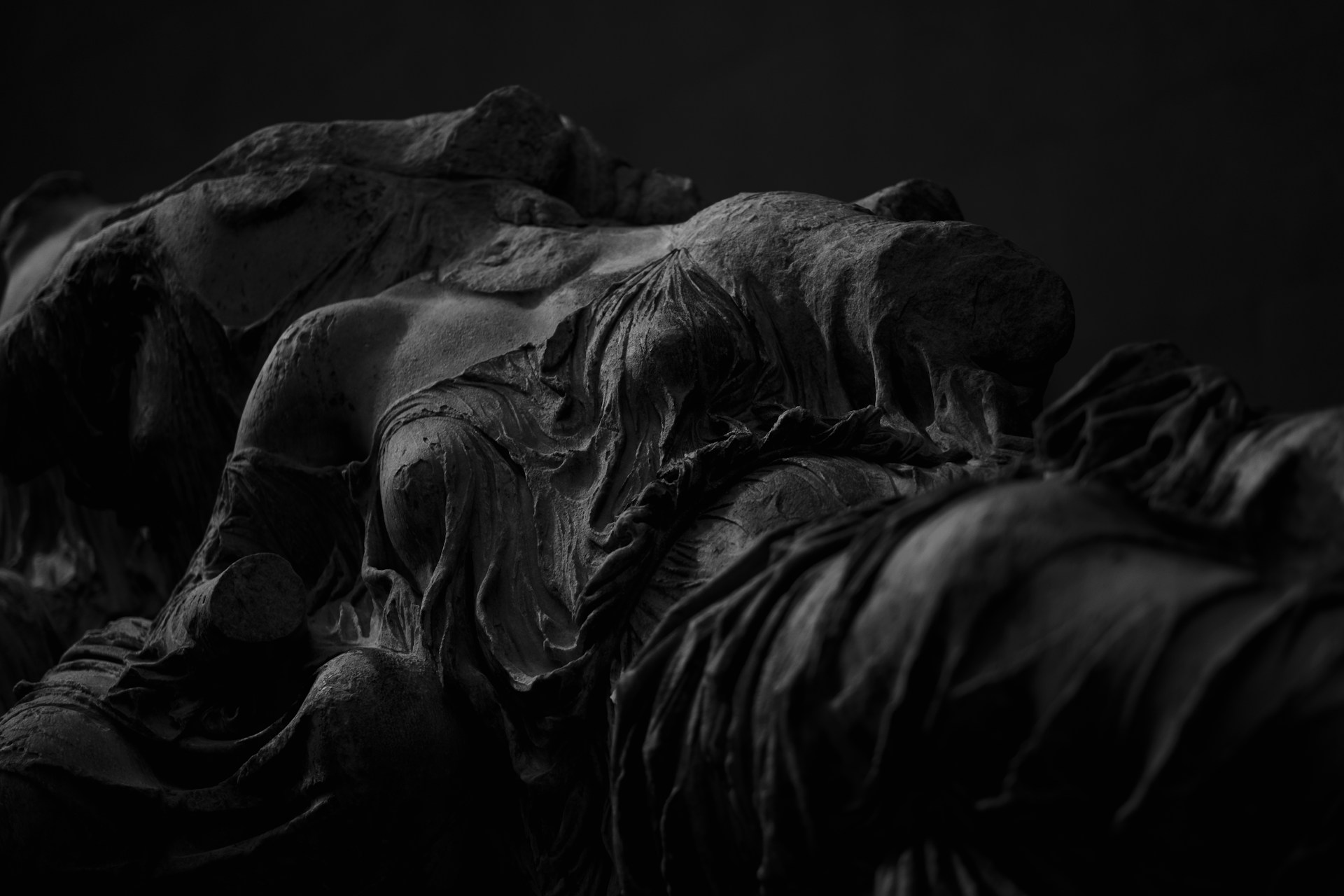 grayscale photo of elephant feet