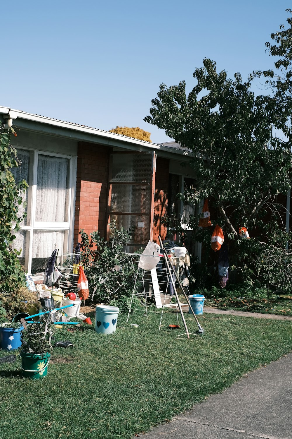 green grass lawn with trees and plants in front of brown wooden house