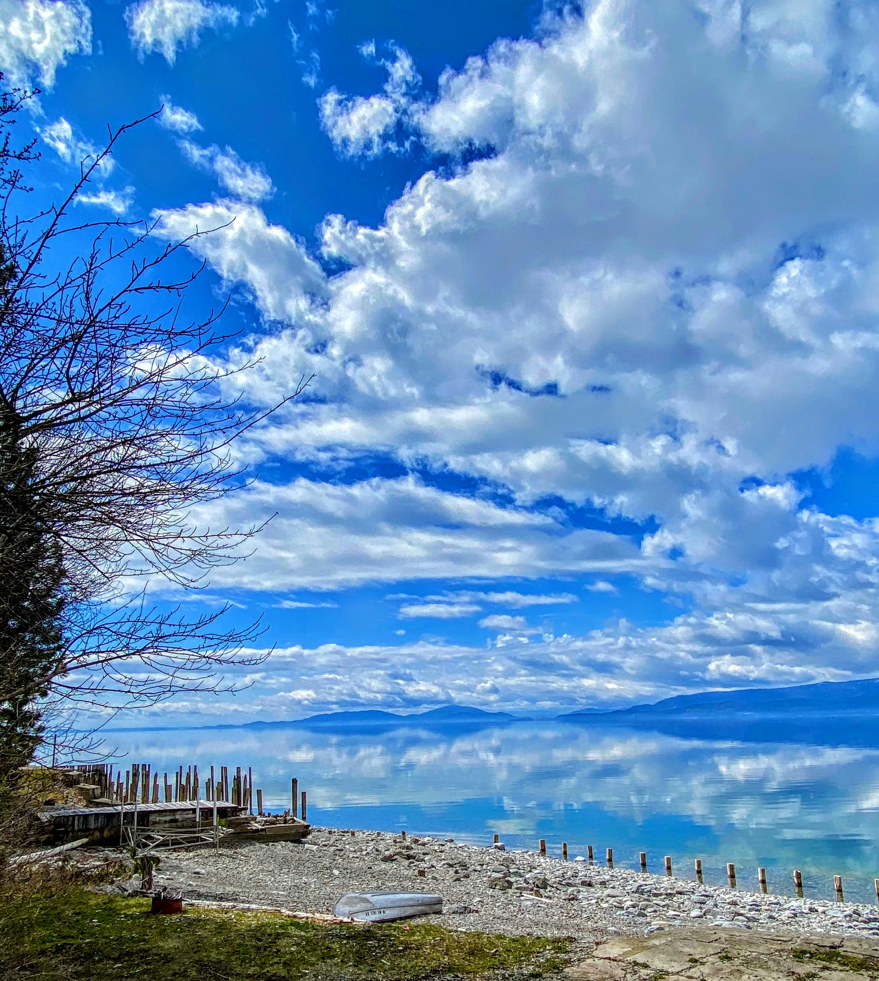 bare trees on white snow covered ground under blue and white cloudy sky during daytime