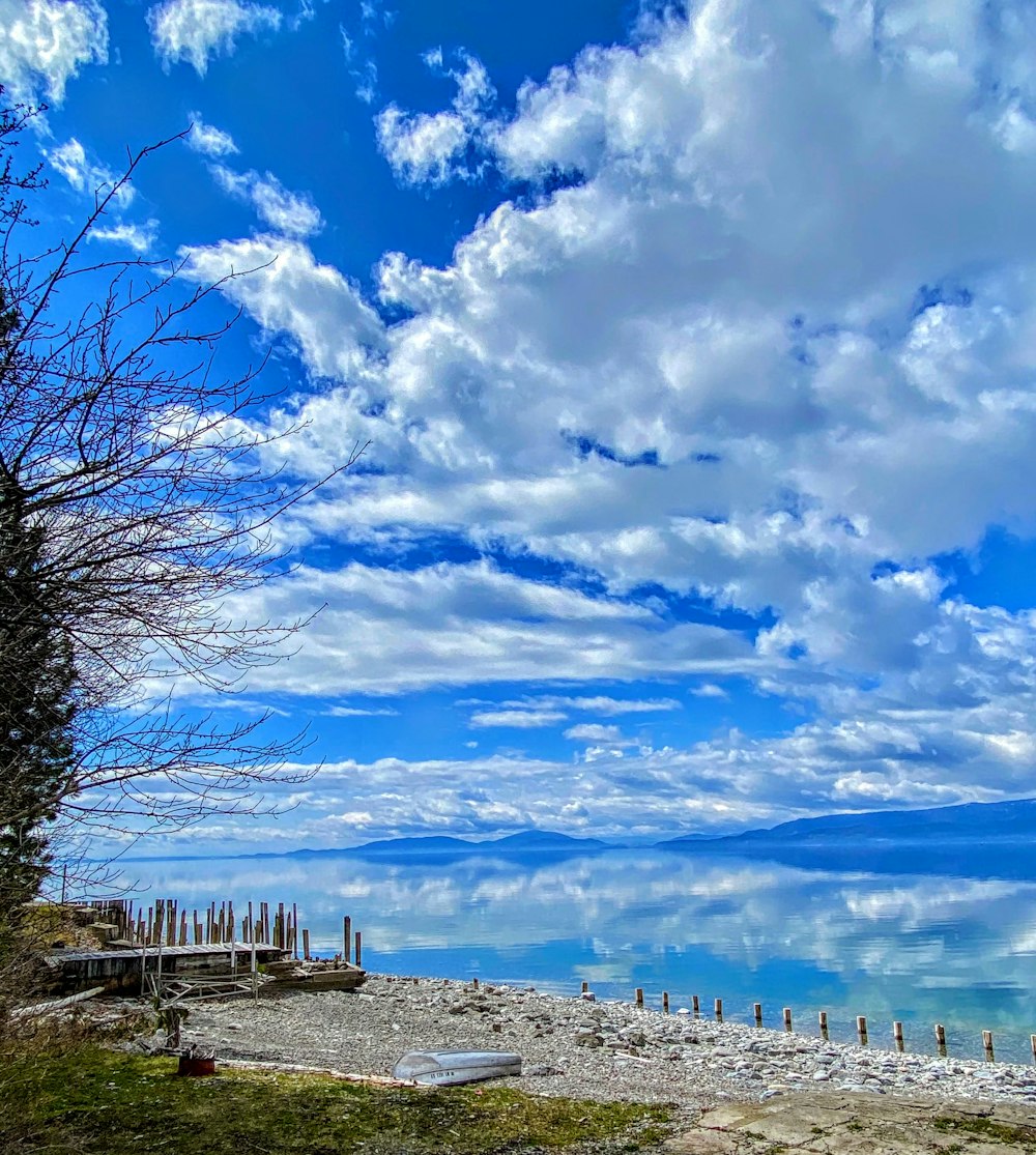 bare trees on white snow covered ground under blue and white cloudy sky during daytime