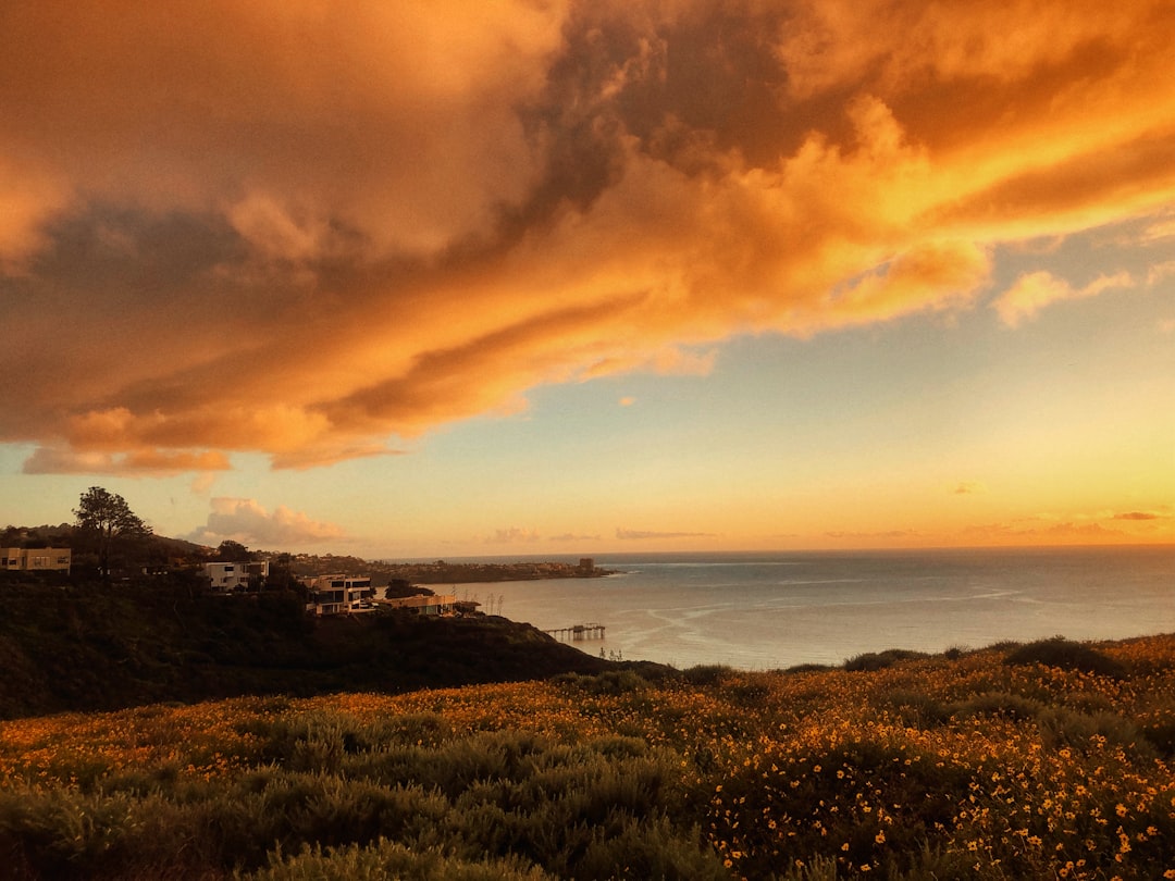 Shore photo spot La Jolla 1770 Village Pl