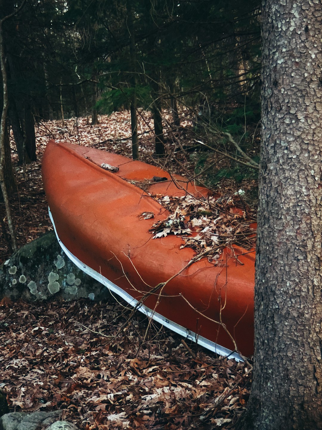 brown and white wooden boat on gray rock