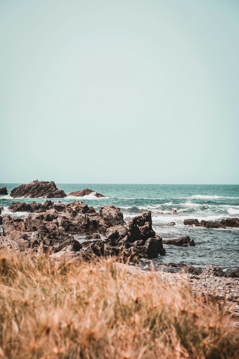 brown grass on rocky shore during daytime