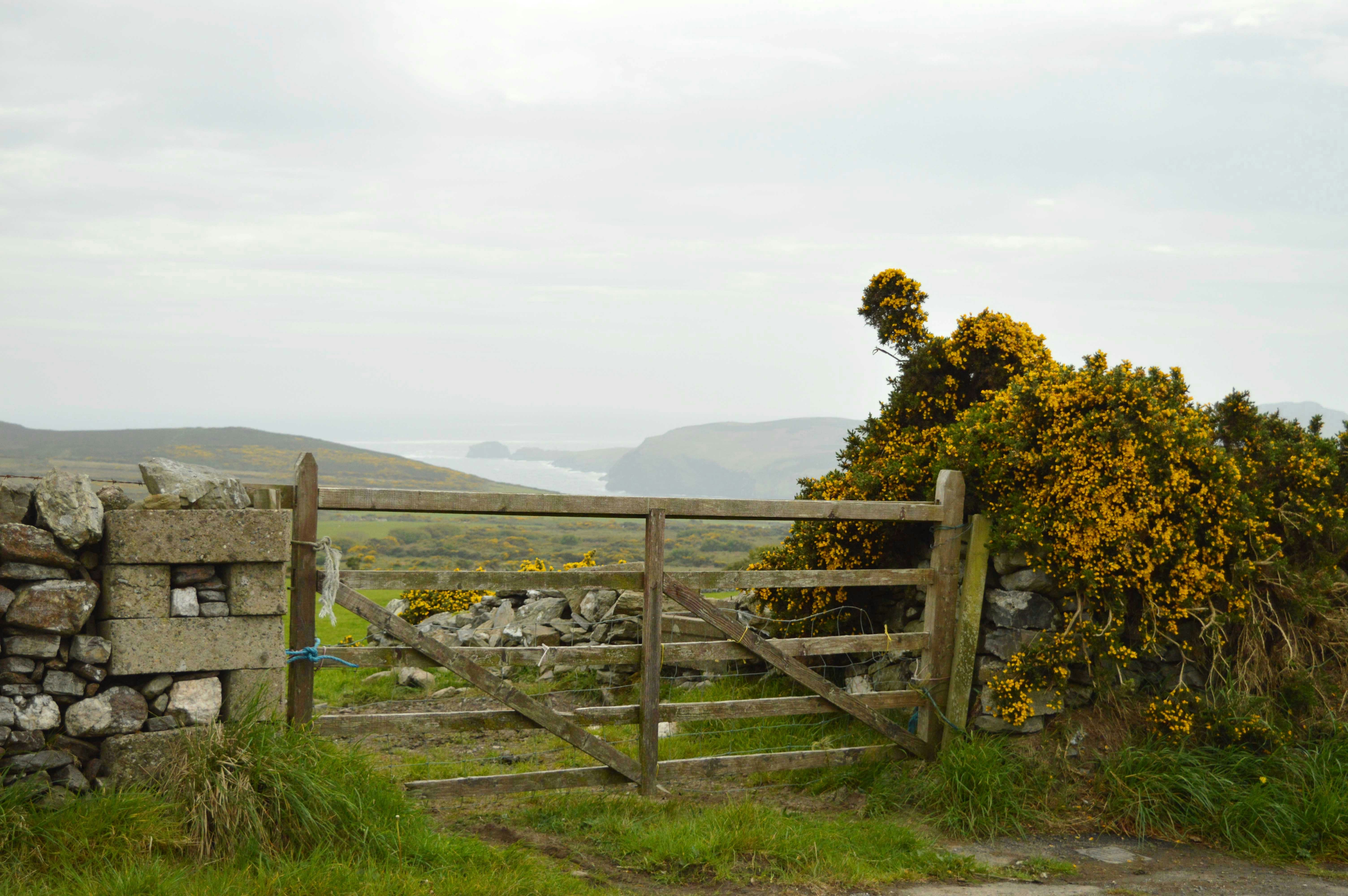 Photo by ilana_reimer