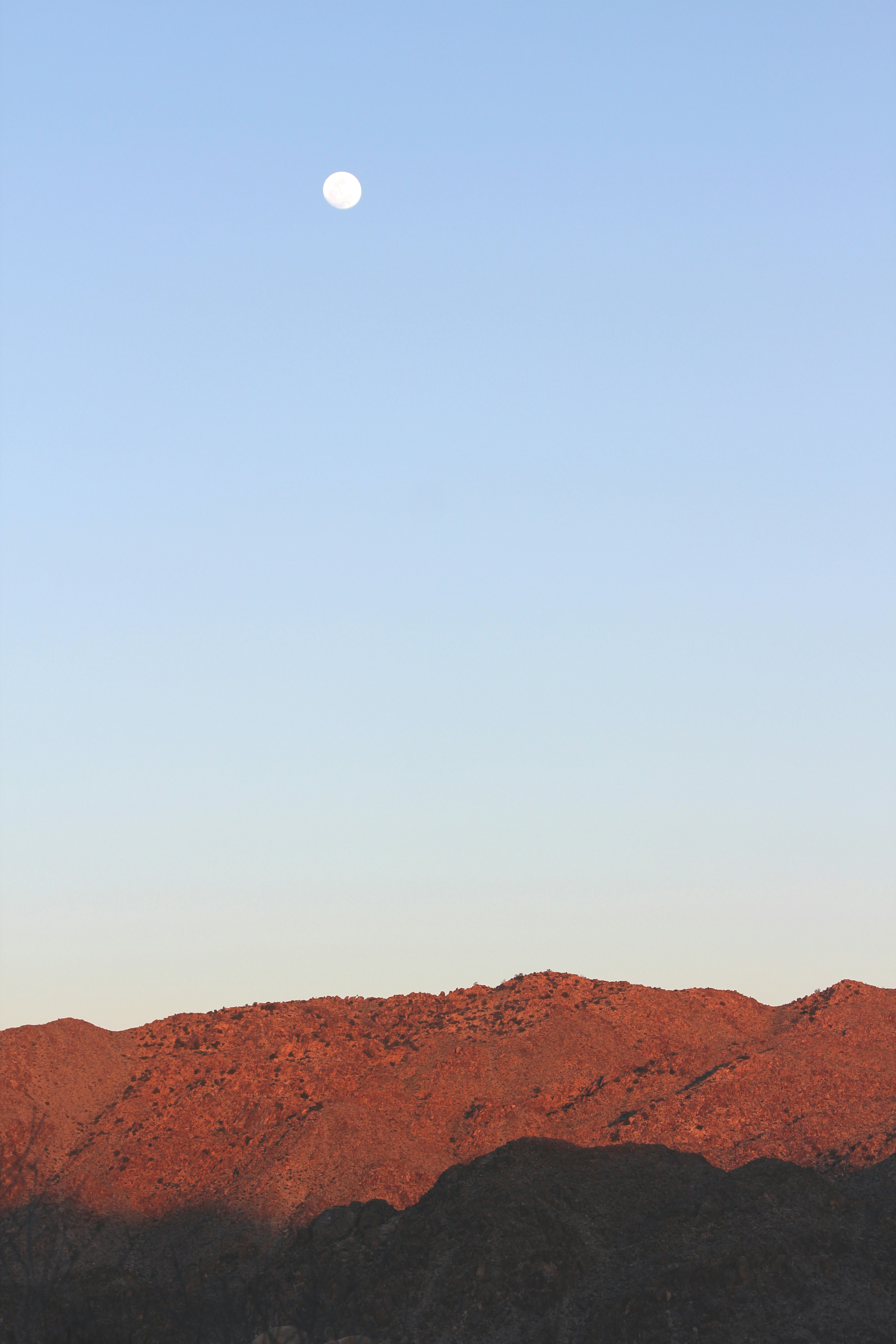 Photo by dani_hill2241