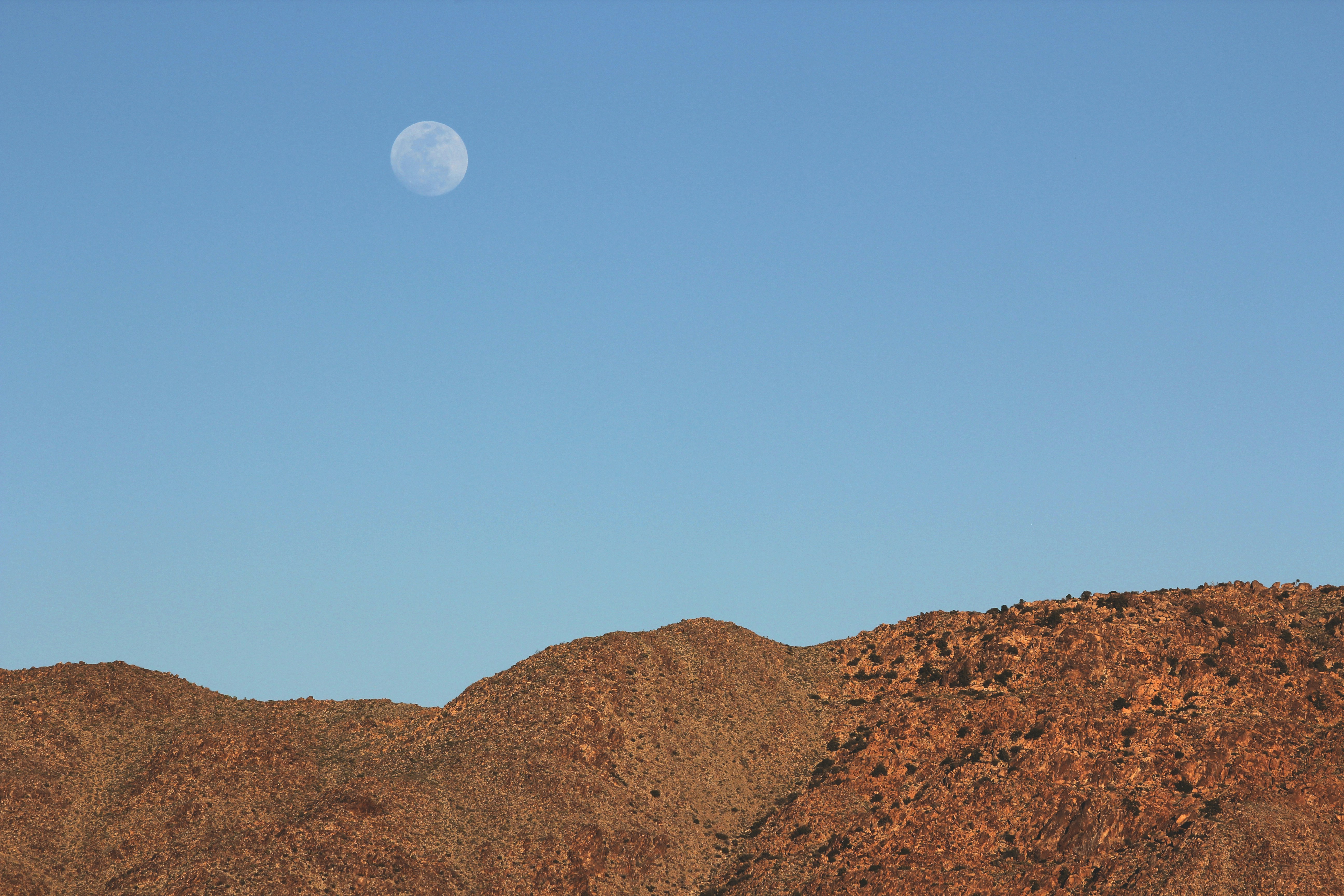 Photo by dani_hill2241