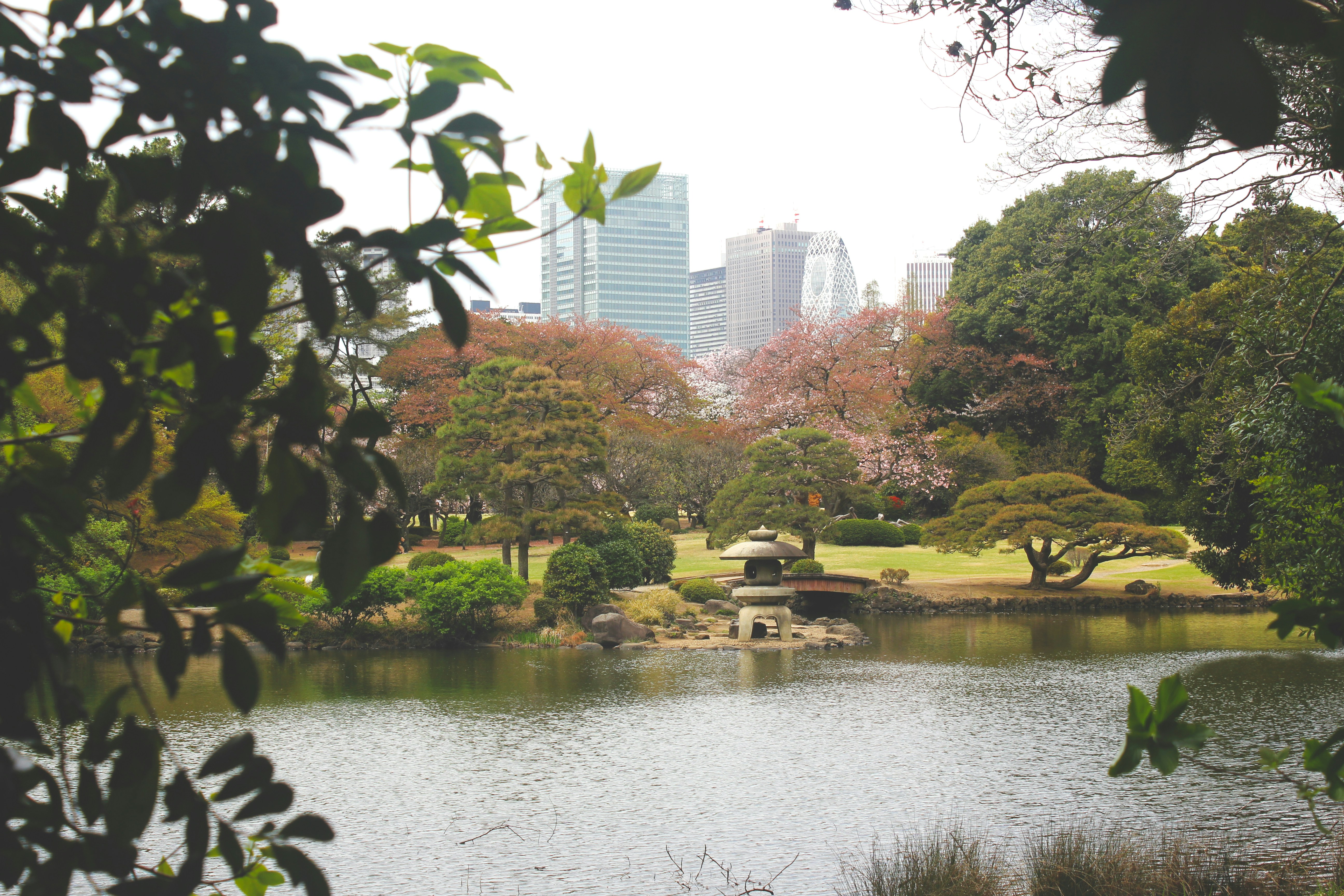 Photo by dani_hill2241