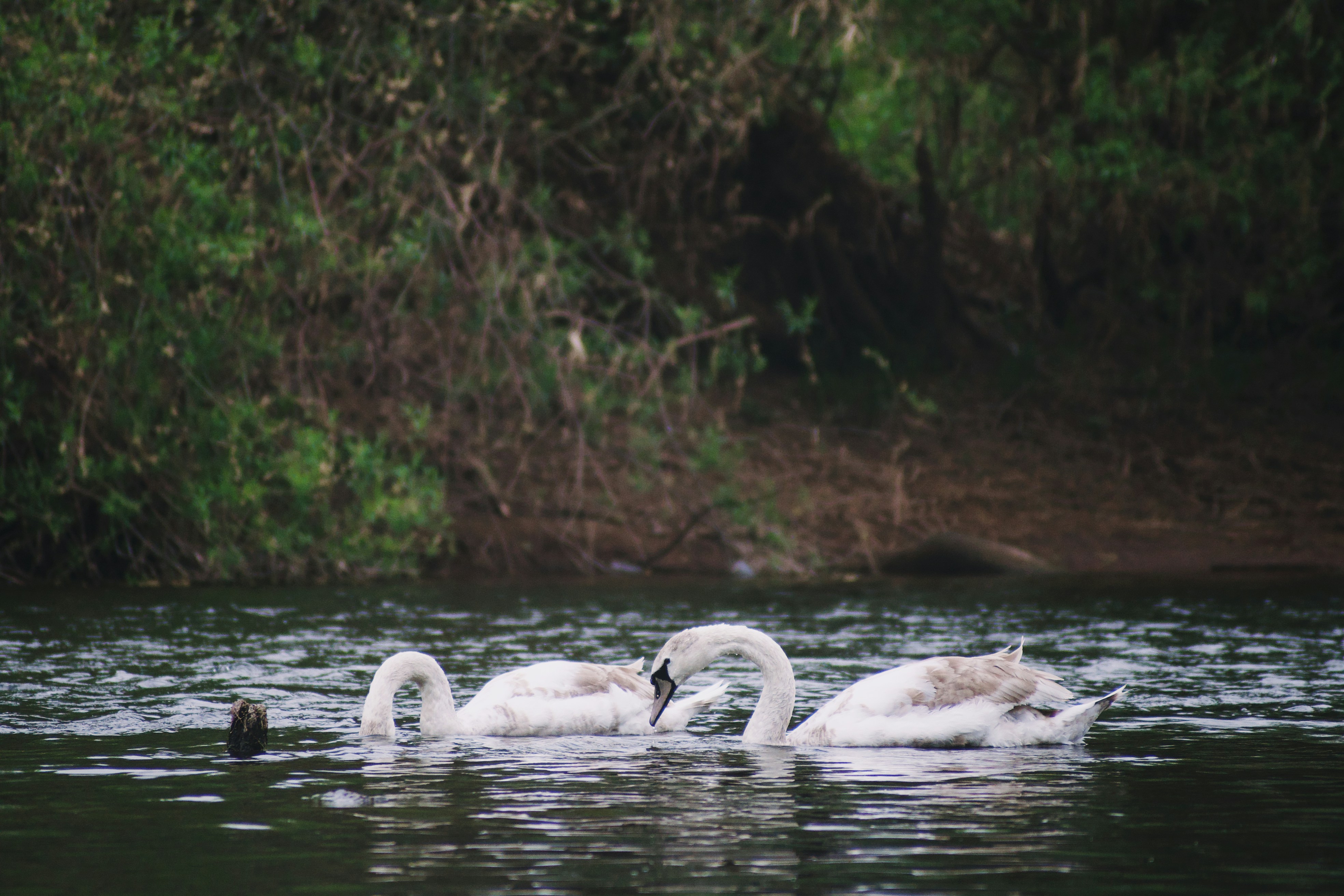 Photo by jordanweekes