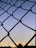 A chain-link fence is silhouetted against a sky transitioning from light blue to a deeper shade, with a small white moon visible through the gaps. The horizon shows a faint sunset with soft orange and yellow tones, with silhouettes of trees and light poles in the distance.