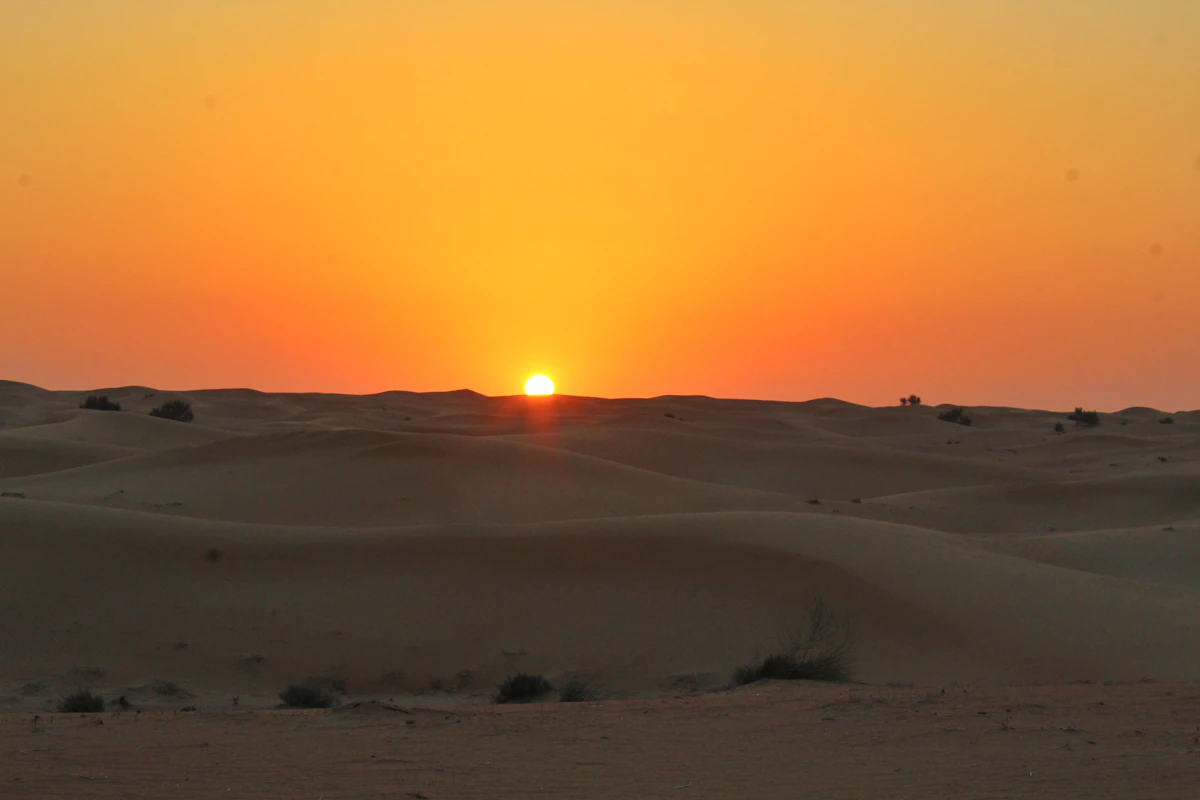 Premium Desert Safari with BBQ Dinner