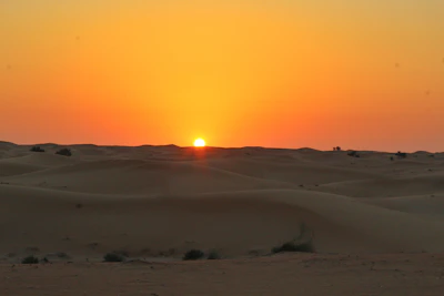 Premium Desert Safari with BBQ Dinner