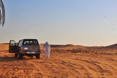 Evening Desert Safari with BBQ Dinner