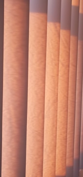 Vertical blinds are illuminated by soft, warm sunlight, creating patterns of light and shadow across the surface.