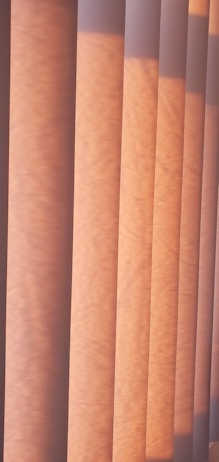 Vertical blinds are illuminated by soft, warm sunlight, creating patterns of light and shadow across the surface.