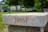 A stone bench with the word 'TRUST' engraved on its side is set in a lush, green park. The background features trees, blurred foliage, and a few indistinct people, creating a serene and calming atmosphere.