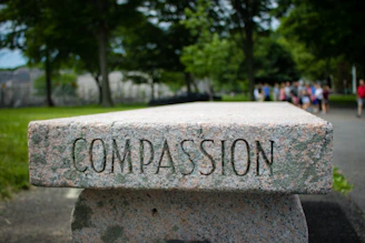 gray concrete tomb stone with no people