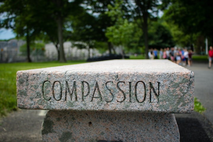 Compassion is a Creative and Spiritual Quality