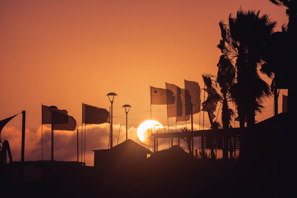 silhouette of trees and street lights during sunset