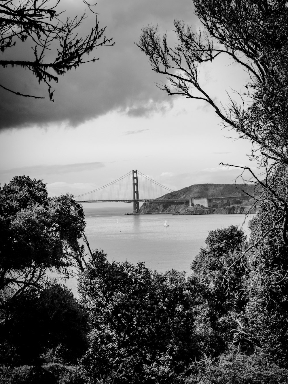 grayscale photo of bridge over body of water