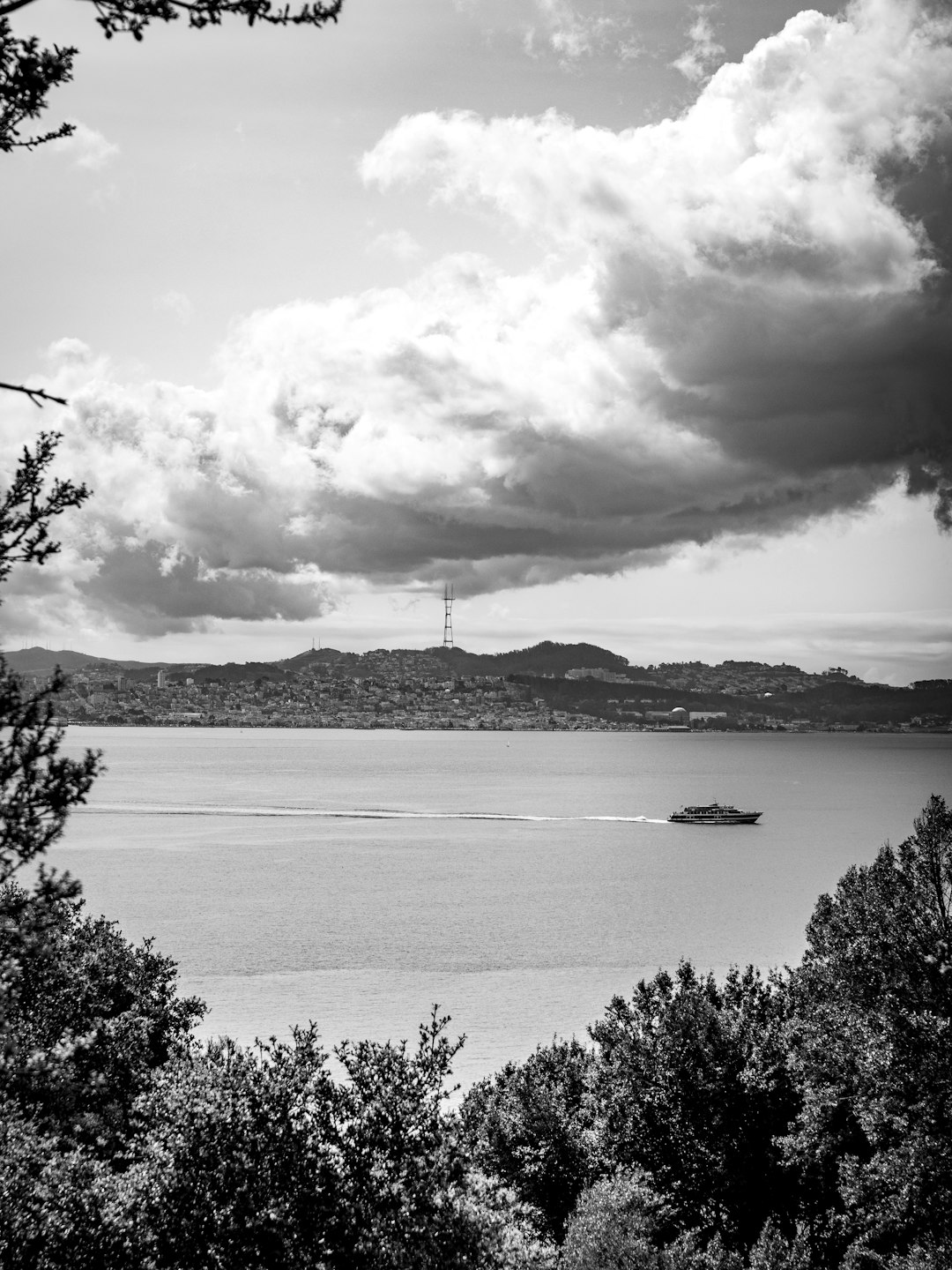 grayscale photo of body of water