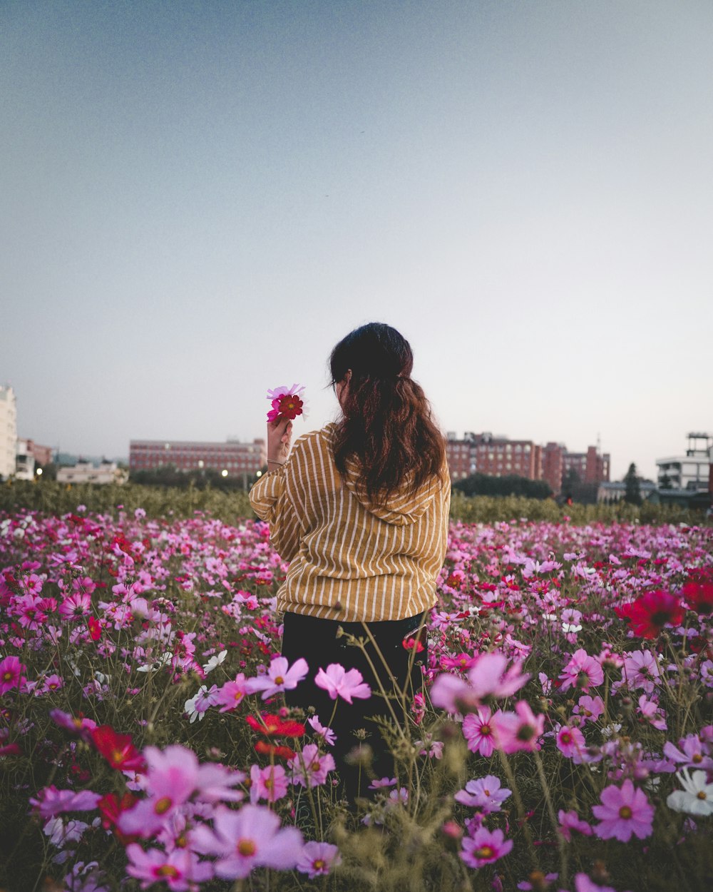 woman in brown and black striped long sleeve shirt standing on flower field during daytime