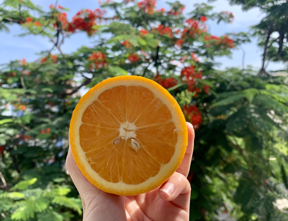 Persona sosteniendo una fruta naranja durante el día