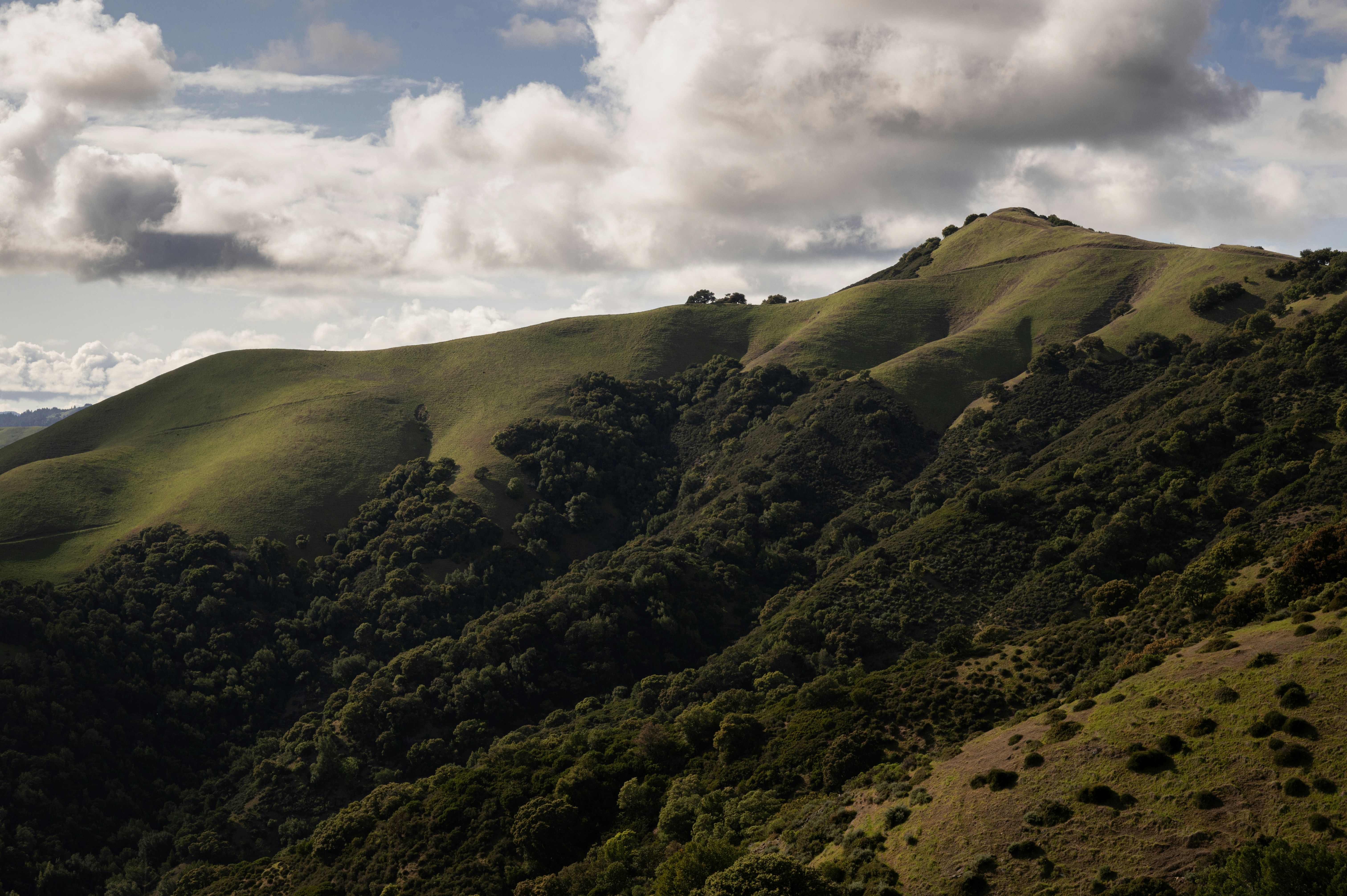 Photo by claykaufmann