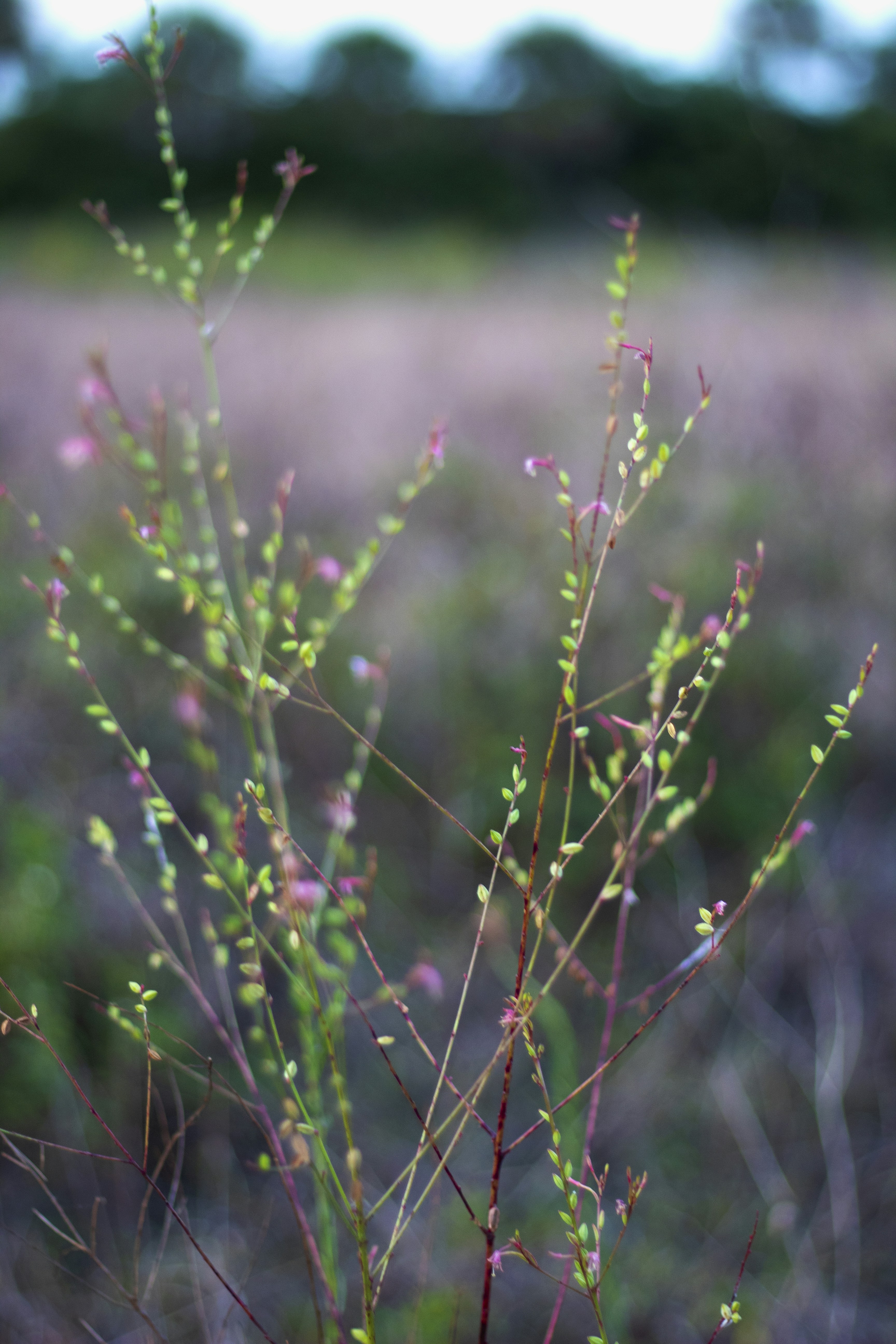 Photo by jasminengarcia