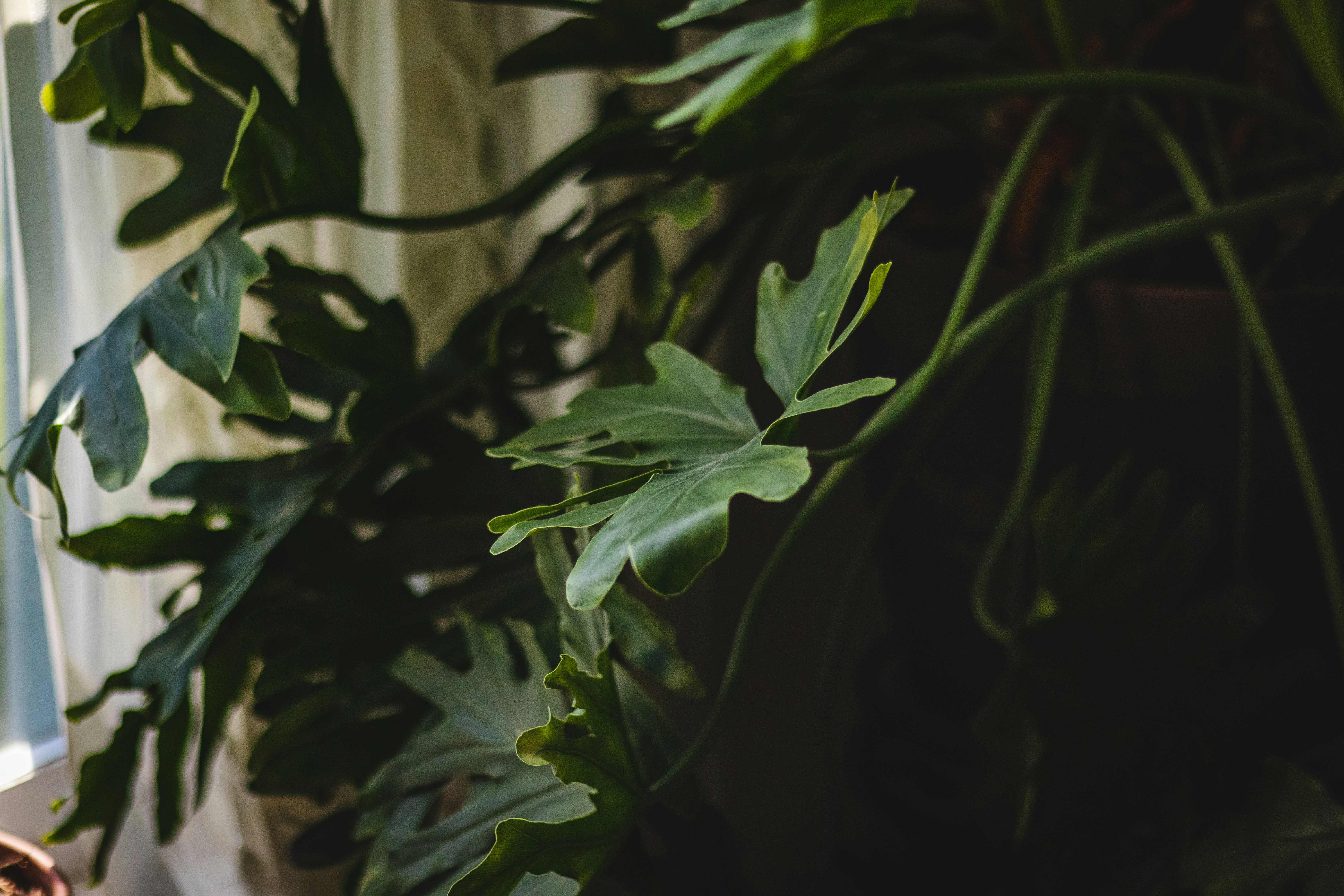 Photo by devin_photography