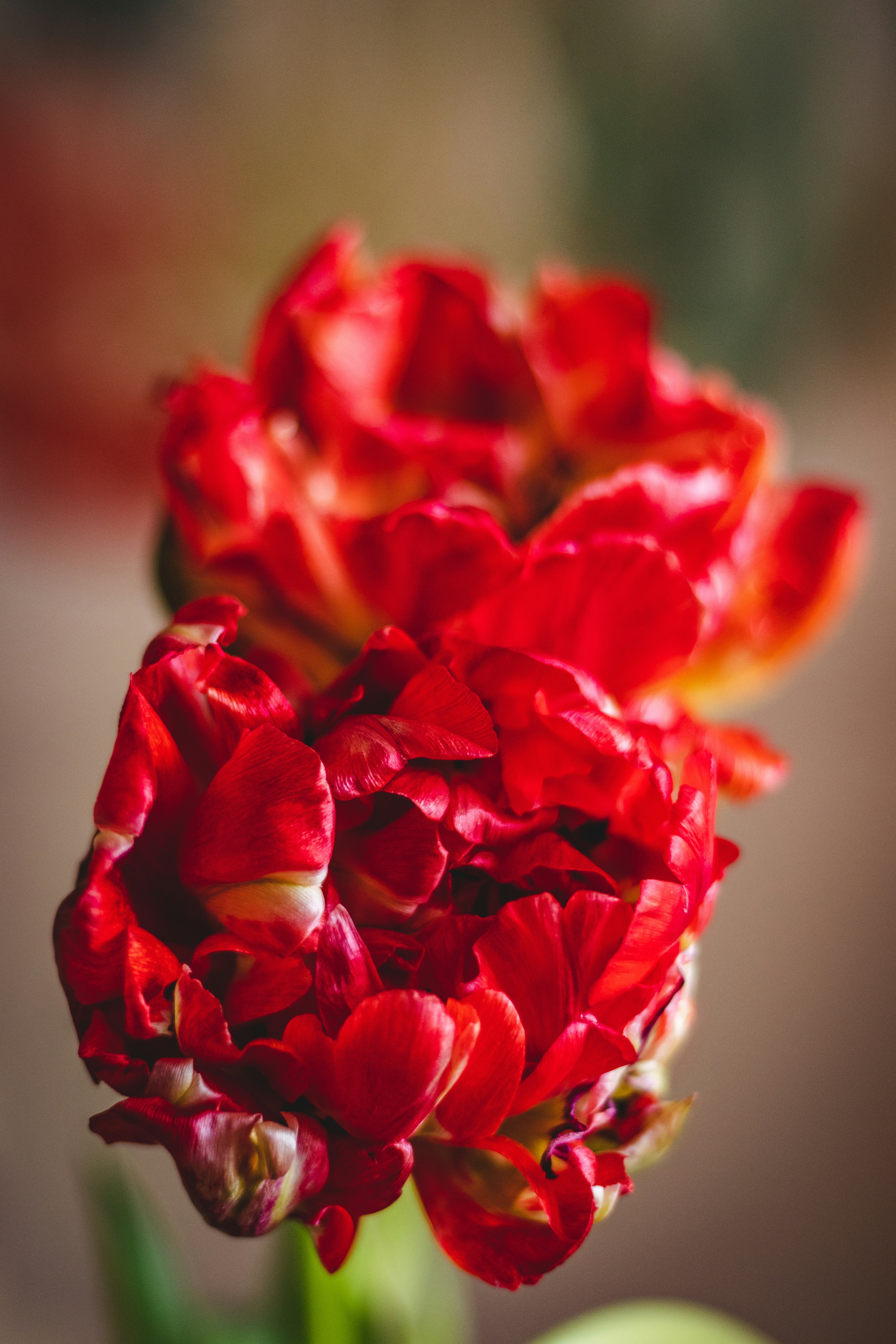 Photo by devin_photography