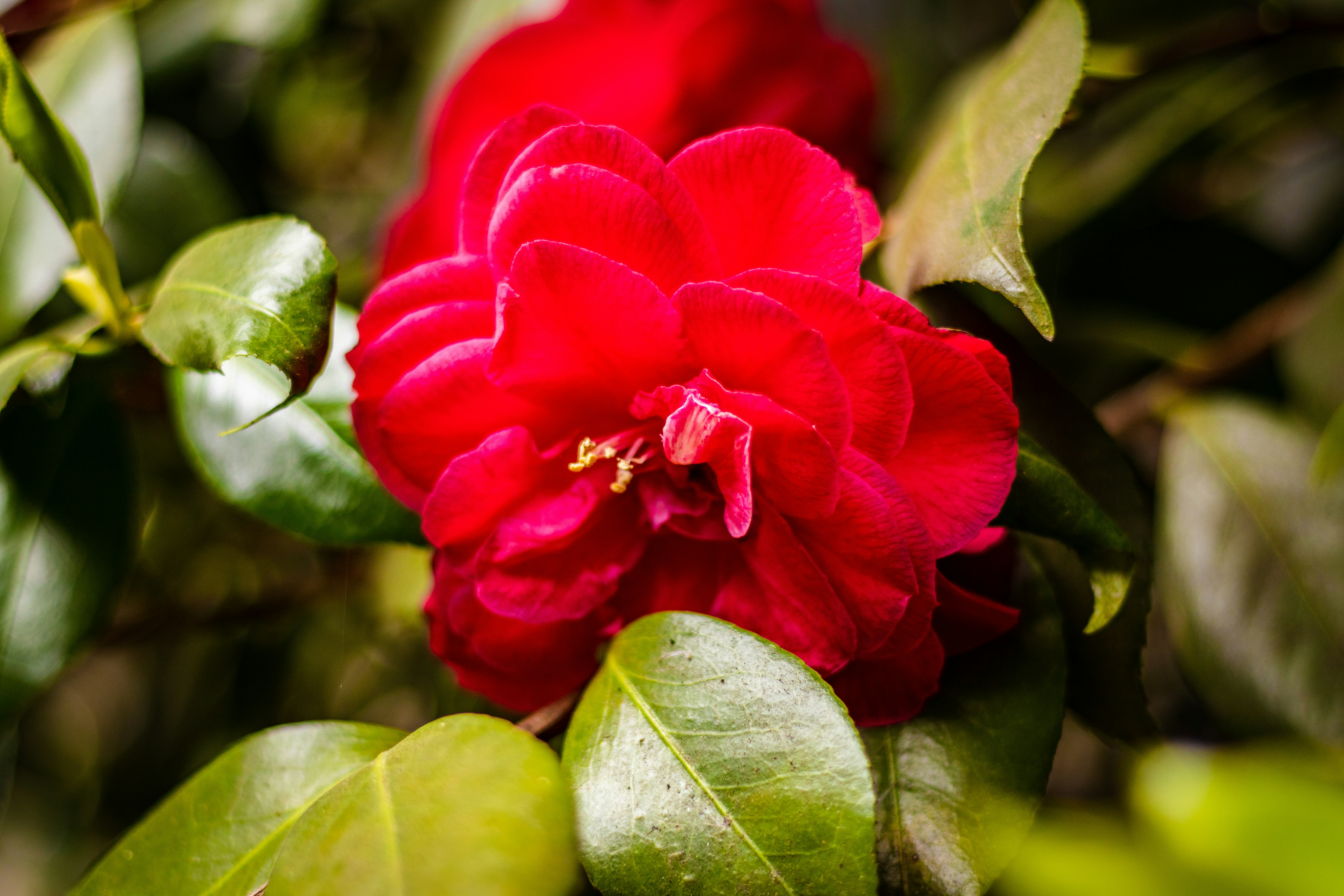 Photo by devin_photography