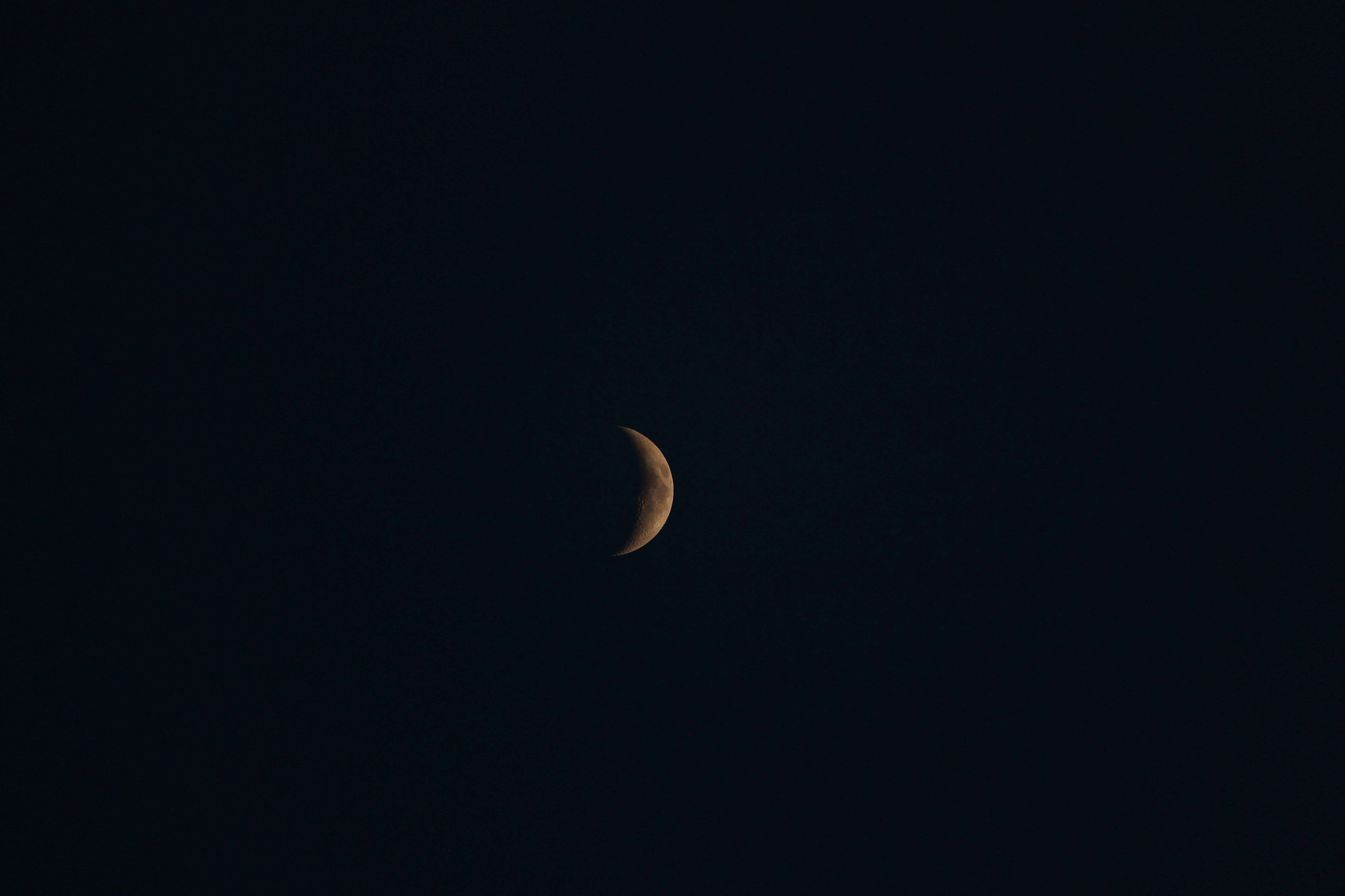 Photo by faw_tographer