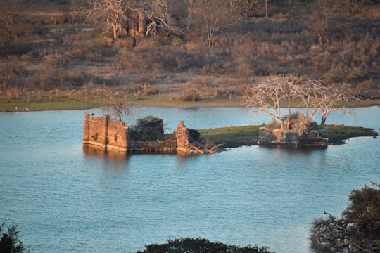 brown rock formation on body of water during daytime in Ranthambore National Park India