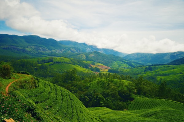 A pictursque view of Munnar Kerala, India green hills under white clouds during daytime