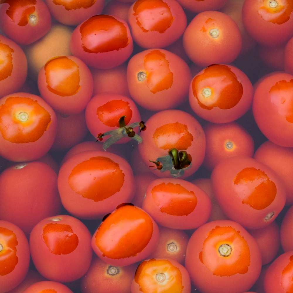 red and black ladybug on orange round fruit