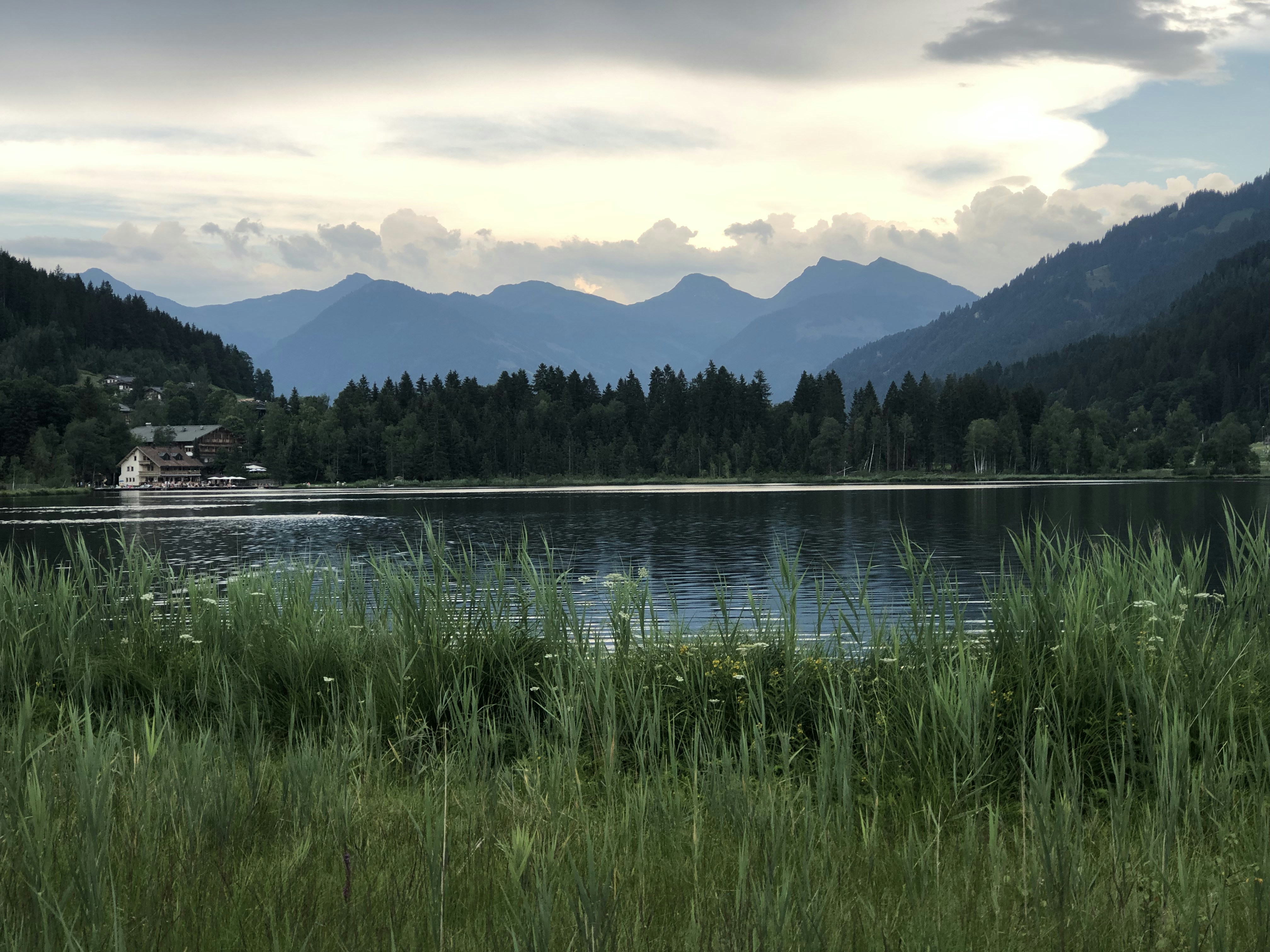 green grass near lake during daytime, Lake with view 