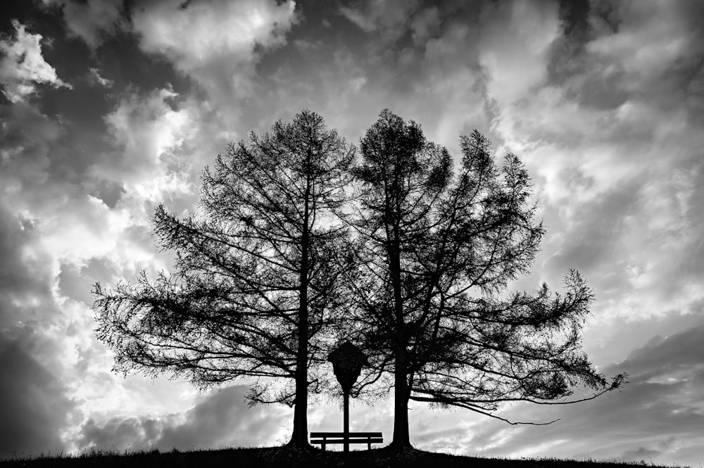 Foto en escala de grises de un árbol en un suelo cubierto de nieve