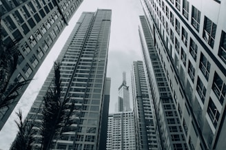 grayscale photo of high rise buildings