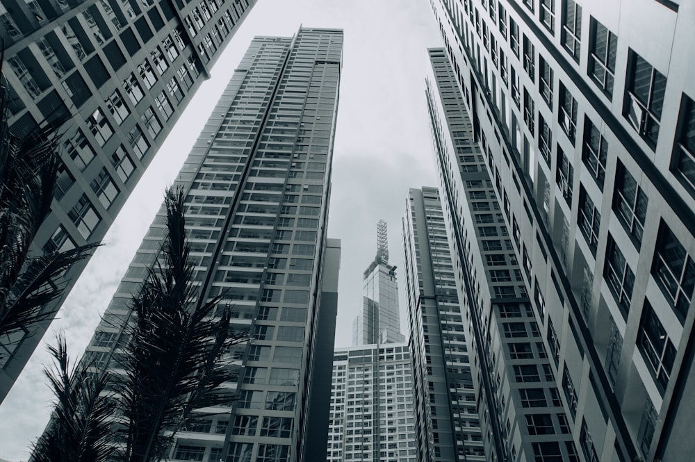 Photo en niveaux de gris d’immeubles de grande hauteur
