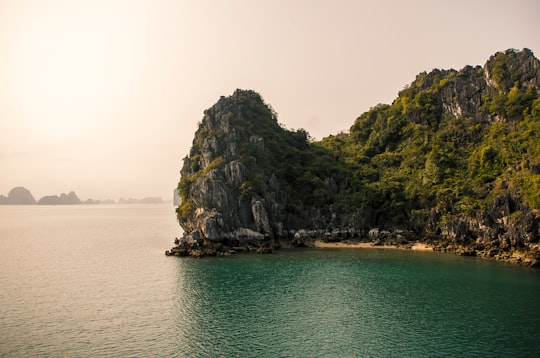 green and gray rock formation on sea during daytime in Halong Bay Vietnam